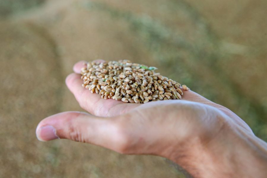 ABB kırsal kalkınma desteğini tohum dağıtıcıları aracılığıyla yapacak