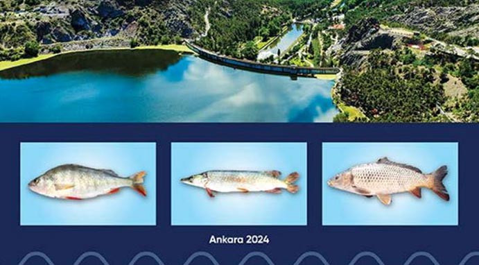 Ankara’nın Göllerindeki Doğal Hazine kaynak olacak