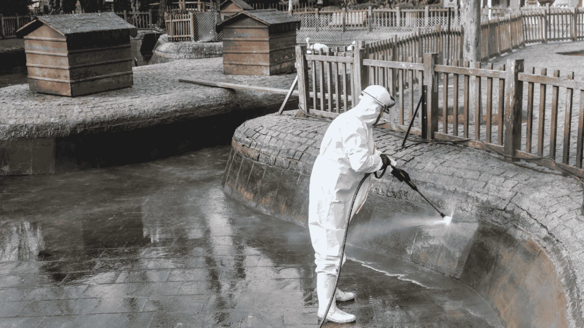 &Ccedil;ankaya Belediyesi&rsquo;nden Kuğulupark&rsquo;ta detaylı temizlik