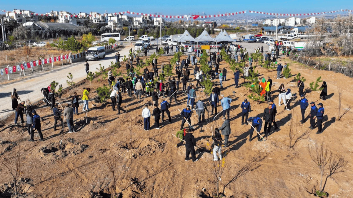 Gölbaşı'nda bin fidan toprakla buluştu