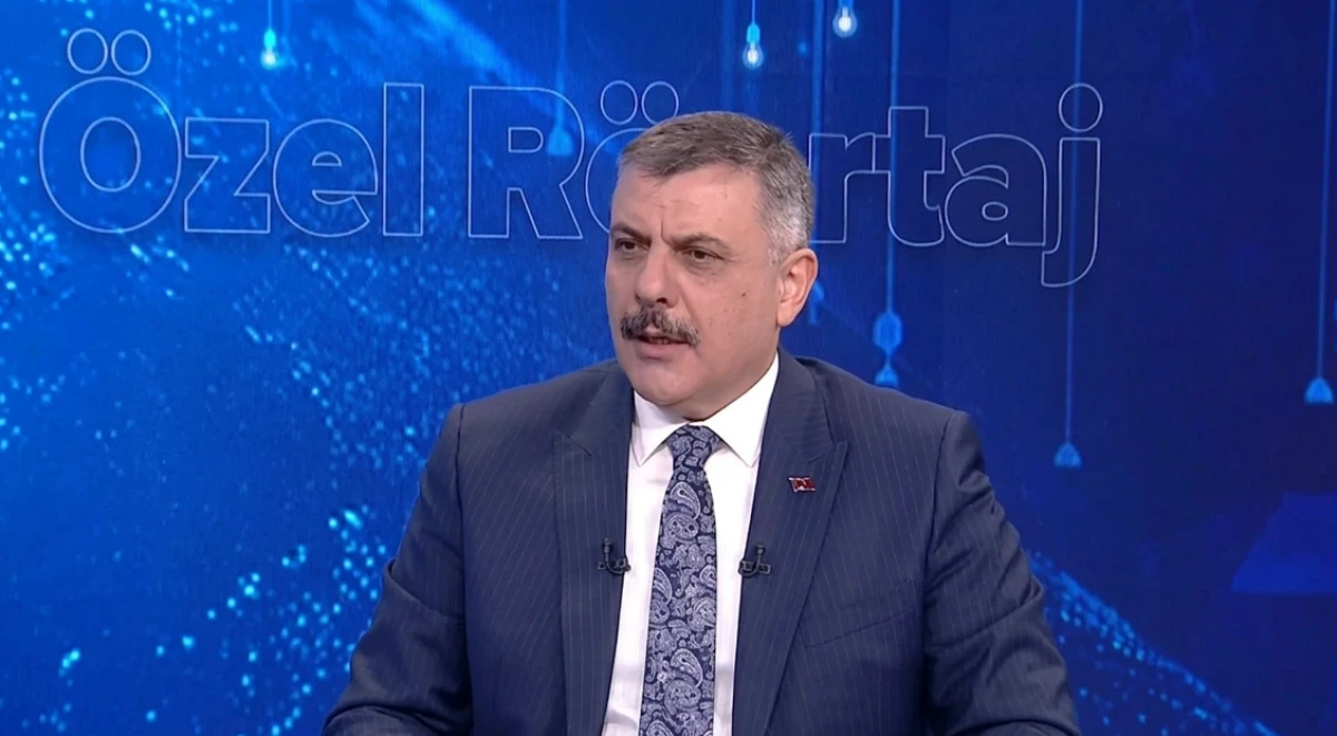 İ&ccedil;işleri Bakanı &Ccedil;ift&ccedil;i'den dikkat &ccedil;eken sokak hayvanları a&ccedil;ıklaması
