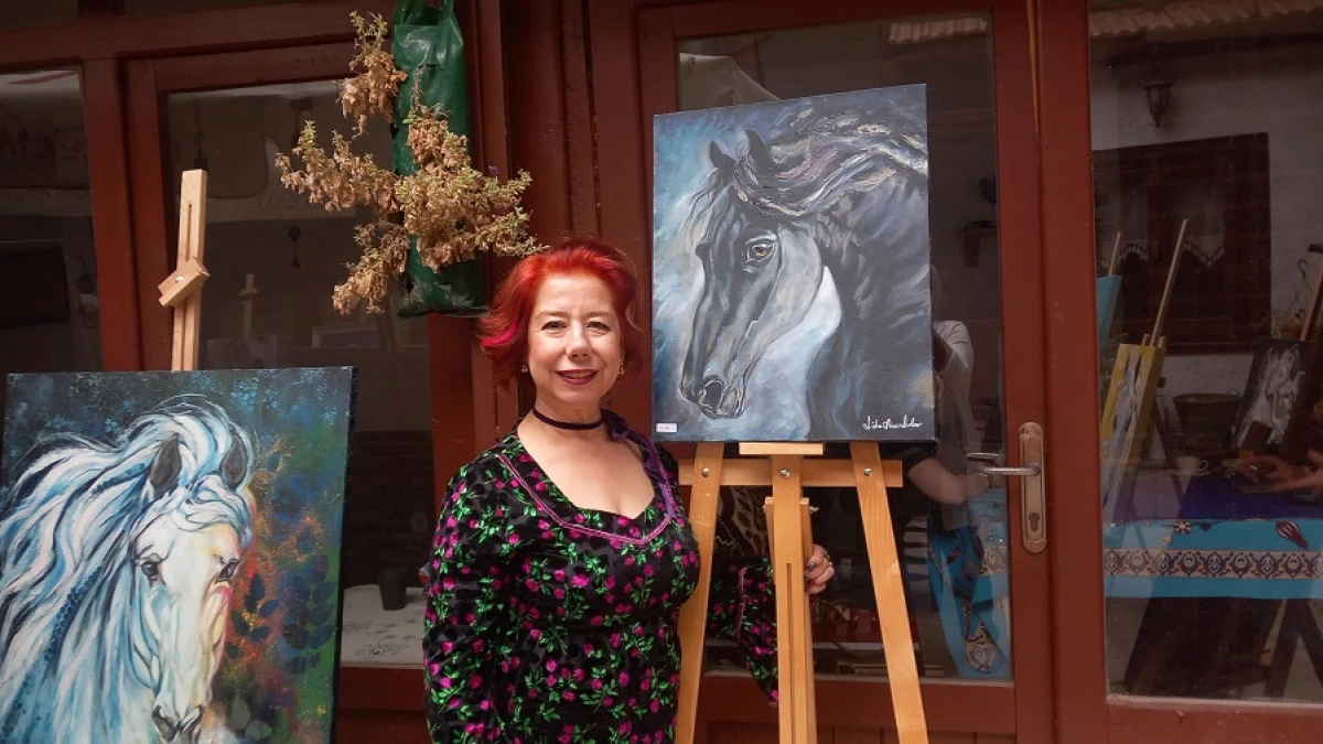 Lale Avcıdırlar Resim Sergisi Ankara Kalesi Mistik Gemi Cafe & Sanat Evi'nde