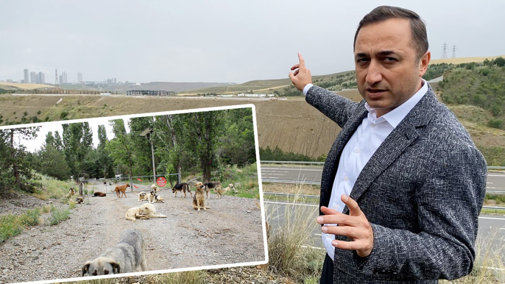 MHP’li Murat Ilıkan’dan bir kez daha ‘barınak’ tepkisi