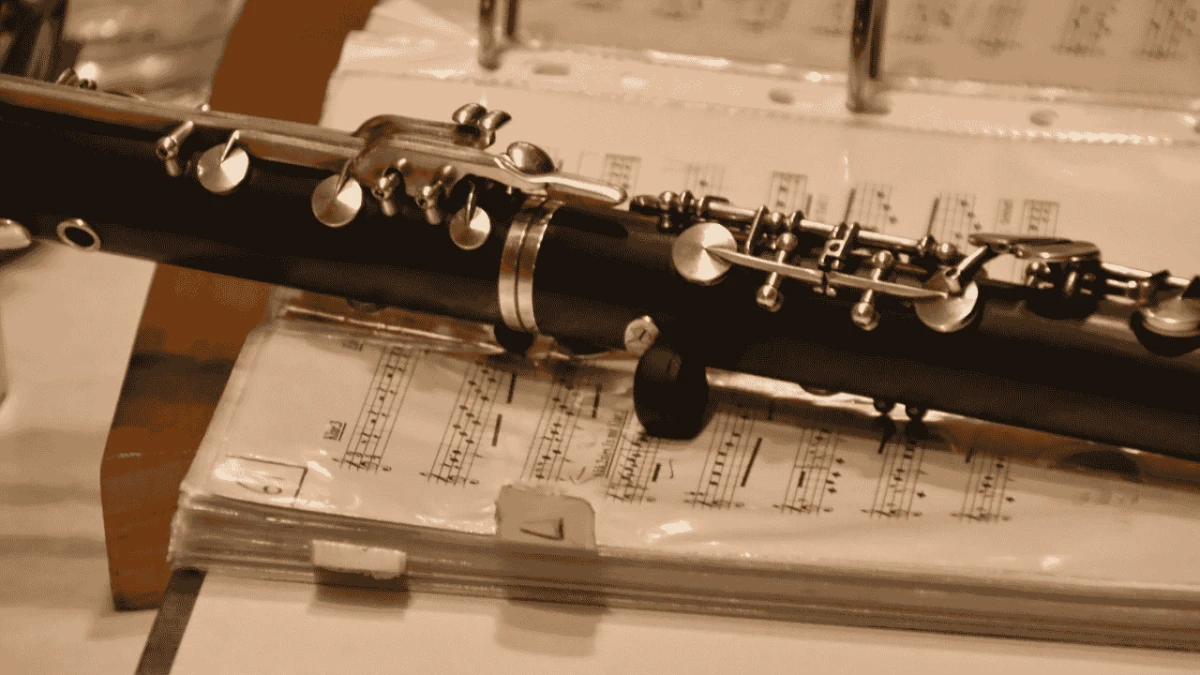 Orkestra Akademik Başkent'te özel bir konser