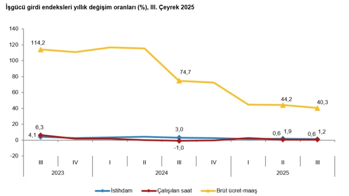 TÜİK: İstihdam endeksi yıllık yüzde 1,2 arttı